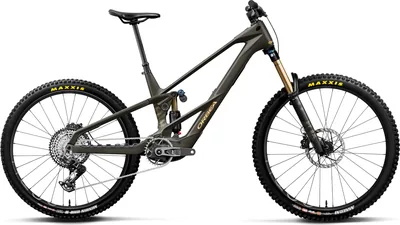 WILD LT M-TEAM RS Mullet 2027