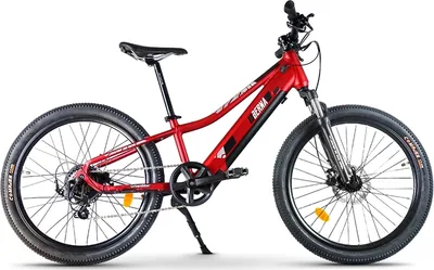 Berna 24″