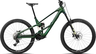 WILD LT H10 2027 - Large