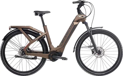 E-Omnia C-Type Deore 10 Bosch Performance Line CX – 625Wh